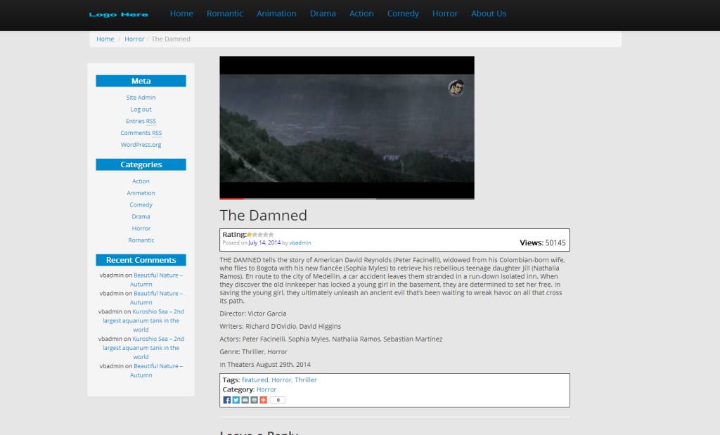 WordPress Video Theme