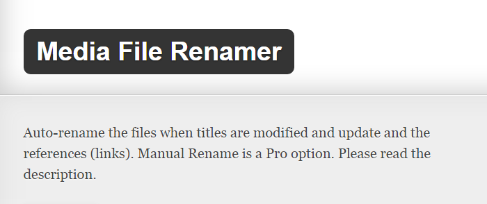 Media File Renamer