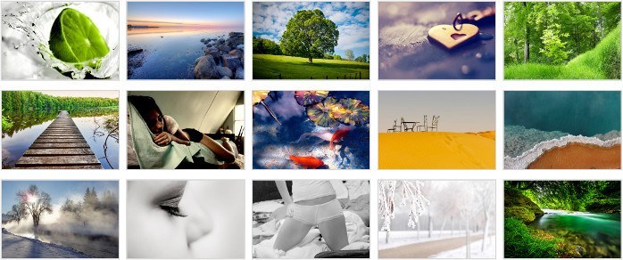 Best 8 WordPress Gallery Plugin Of 2021 [Reviewed]