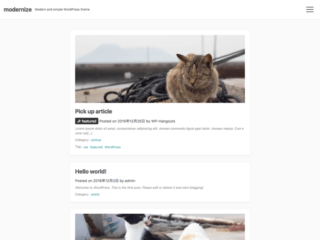 WordPress theme for blog