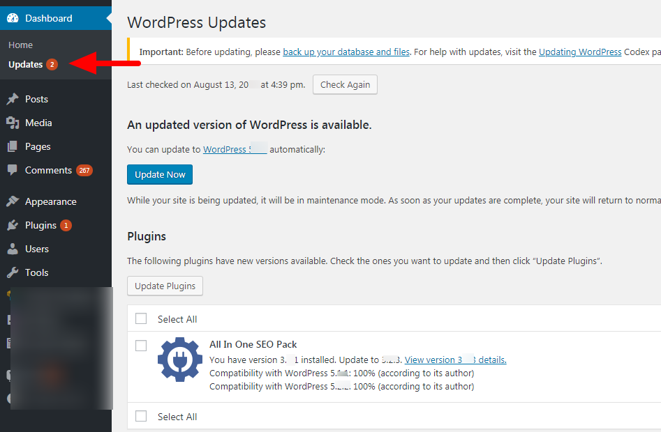 WordPress plugins and themes update page