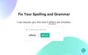 how to check grammar in WordPress