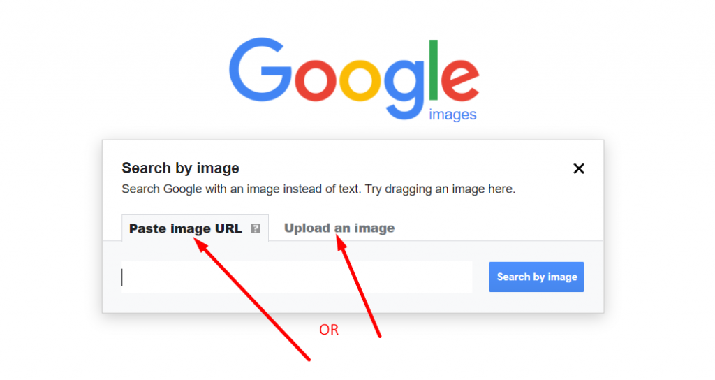 Search images by URL or Uploading an image