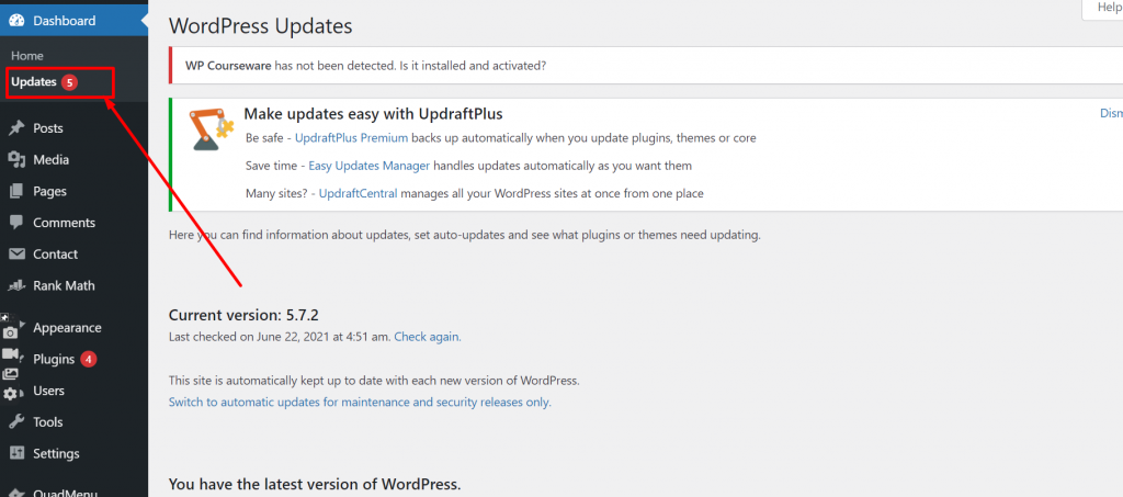 Update WordPress Theme