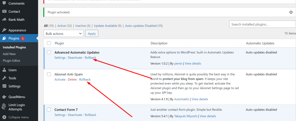 Screenshot 12 1 WordPress Automatic Updates: How To Enable & Disable (2022)