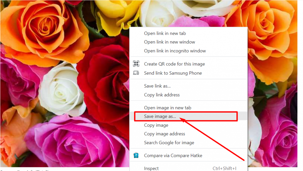 Protect images by disabling right click option
