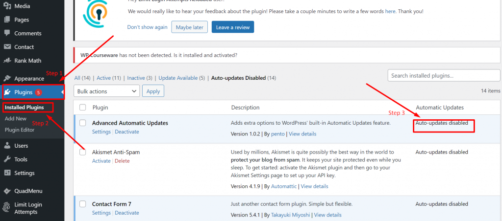 WordPress automatic updates