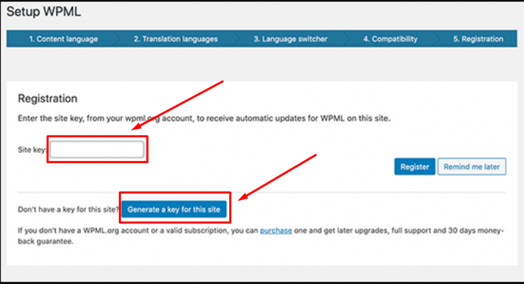 WPML settings pa nxge 