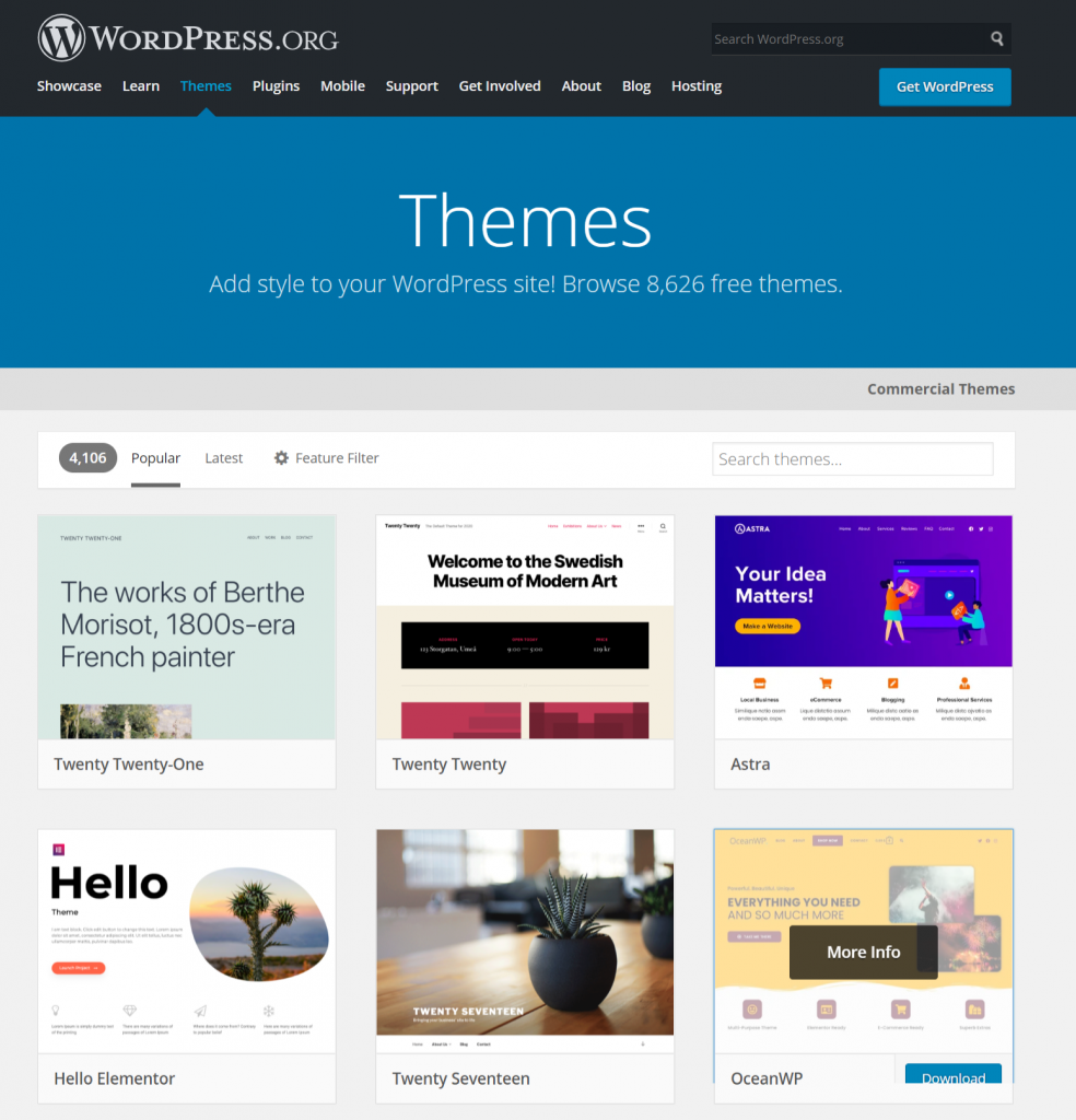 WOrdPress Themes