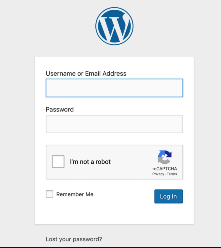 Google's Recaptcha in WordPress