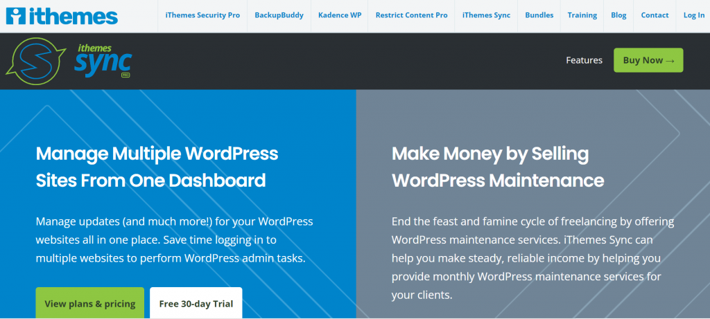 Manage Multiple WordPress site tools : iThemes security