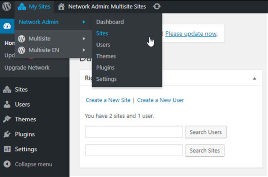 Managing WordPress multisite Network