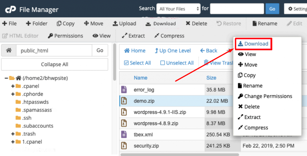 Downloading the Backup in Zip file