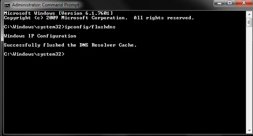 Flush DNS in ipconfig