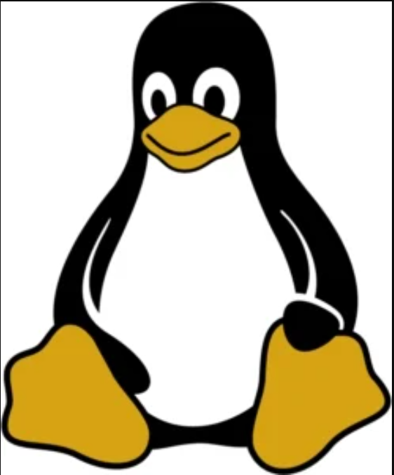 Screenshot 5 1 35 Useful and Basic Linux Commands You Should Know