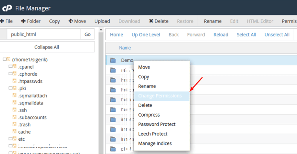 Setting File Permission using File Manager in Cpanel