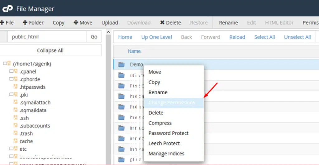 Setting File Permission using File Manager in Cpanel