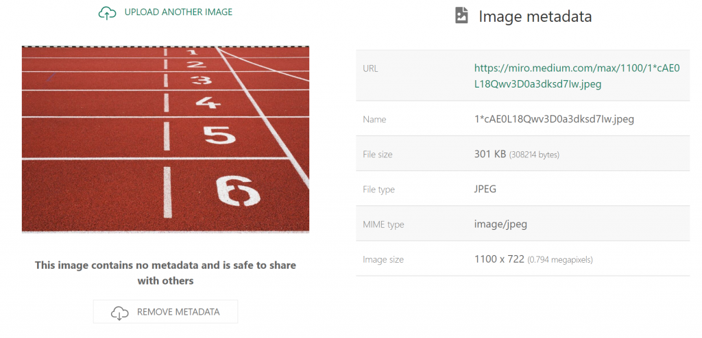 Result showing Image Metadata