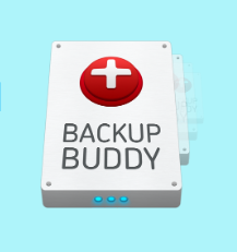 Backupbuddy 10 Best WordPress Backup Plugins For 2024 [Live Demo]