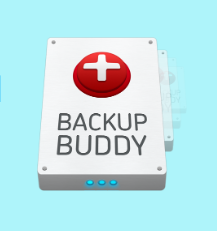 Backupbuddy 10 Best WordPress Backup Plugins For 2023 [Live Demo]