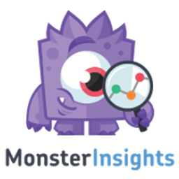 Monster Insights
