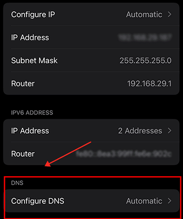 Configure DNS in iOS
