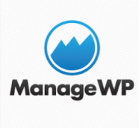 Screenshot 2023 02 16 165649 The Ultimate WordPress Management Tools Comparison: ManageWP vs InfiniteWP vs MainWP