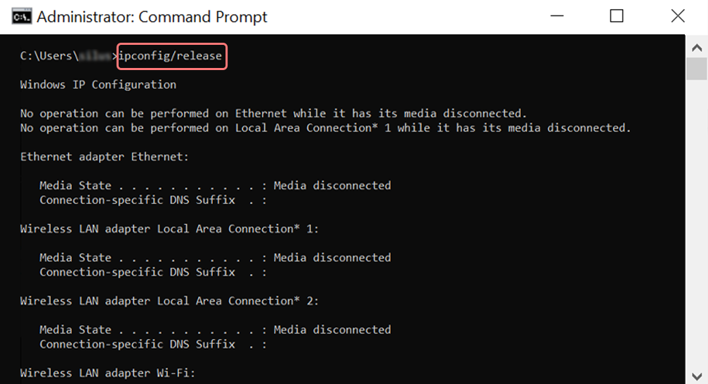 Using Ipconfig command on CMD