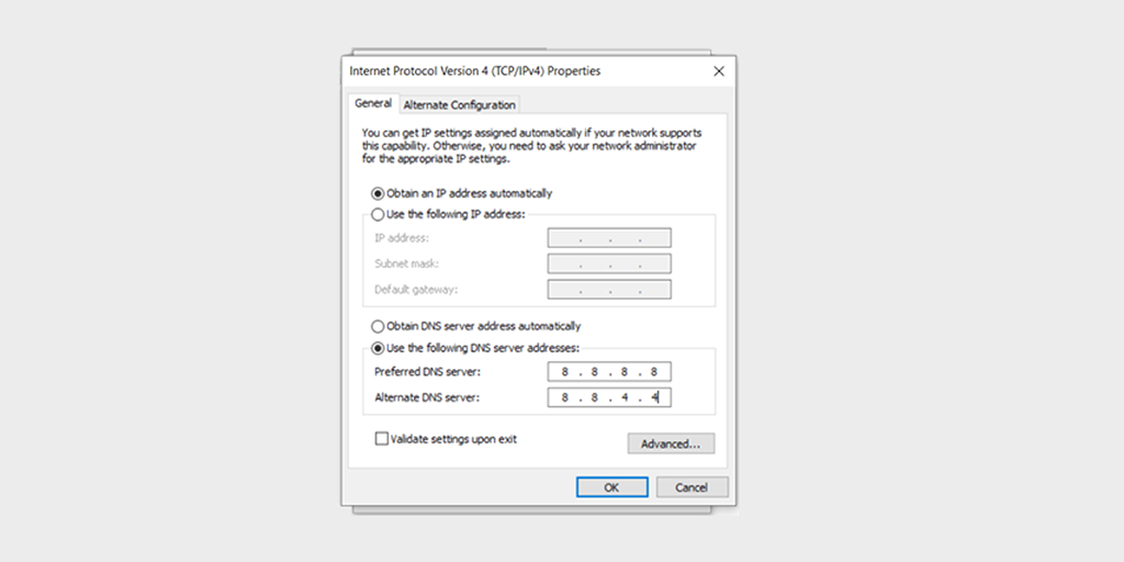 Entering Preferred DNS server