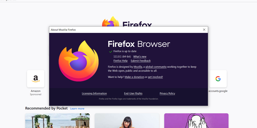 Firefox Browser is up to date