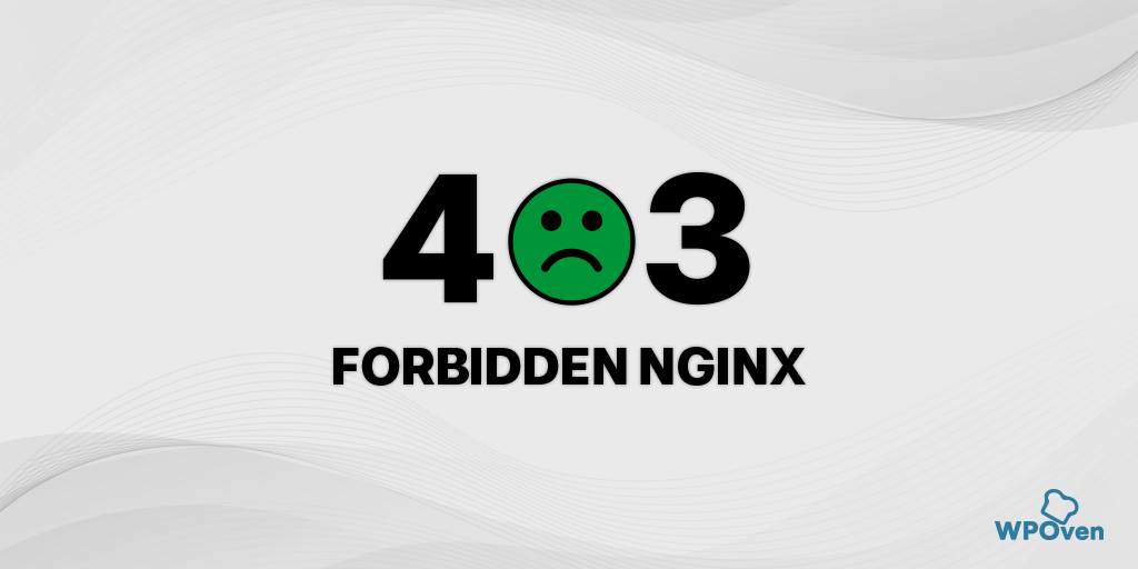 How to Fix the 403 Forbidden Error in 2024