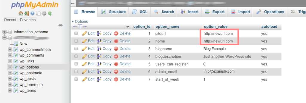 How to Make A WordPress Website Live? (A Step-By-Step Guide) 10 Updating New URL