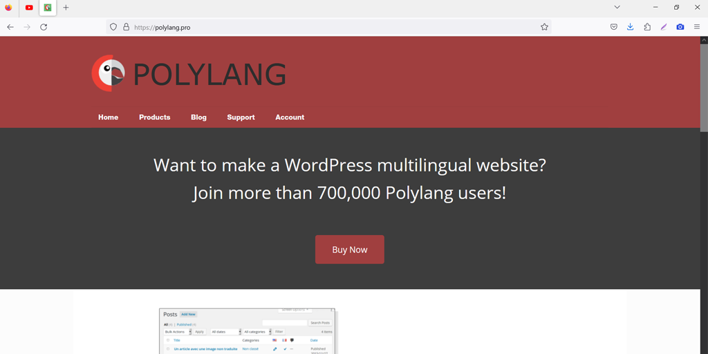 Polylang Multilingual WordPress Plugin