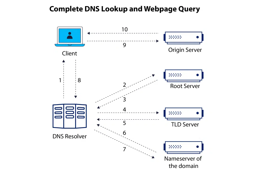 DNS Lookup and Webpage Query