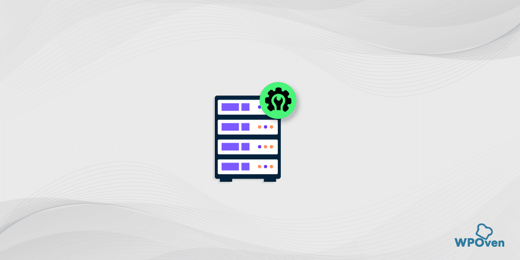 Customization and Flexibility in Dedicated WordPress Hosting Dedicated WordPress Hosting